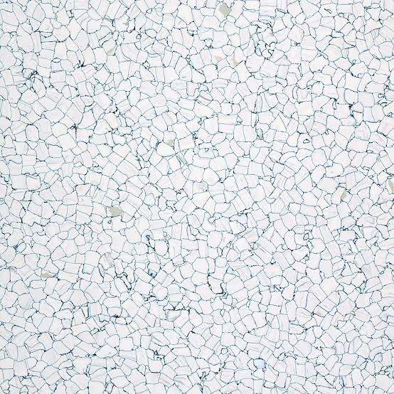 Electrostatic Discharge ESD Flooring Swatch
