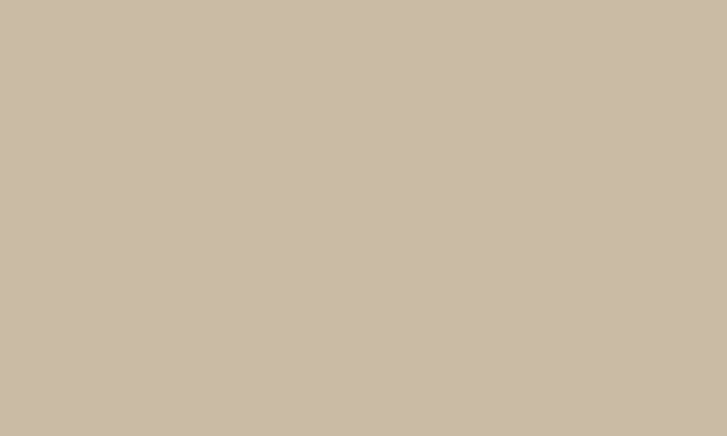 Moisture Vapor Mitigation Coating Swatch